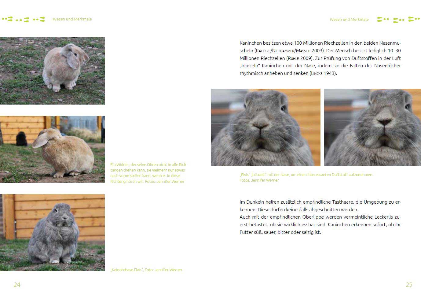 Leseprobe 1 Das Tierschutz-Kaninchenbuch Leseprobe 1 Das Tierschutz-Kaninchenbuch