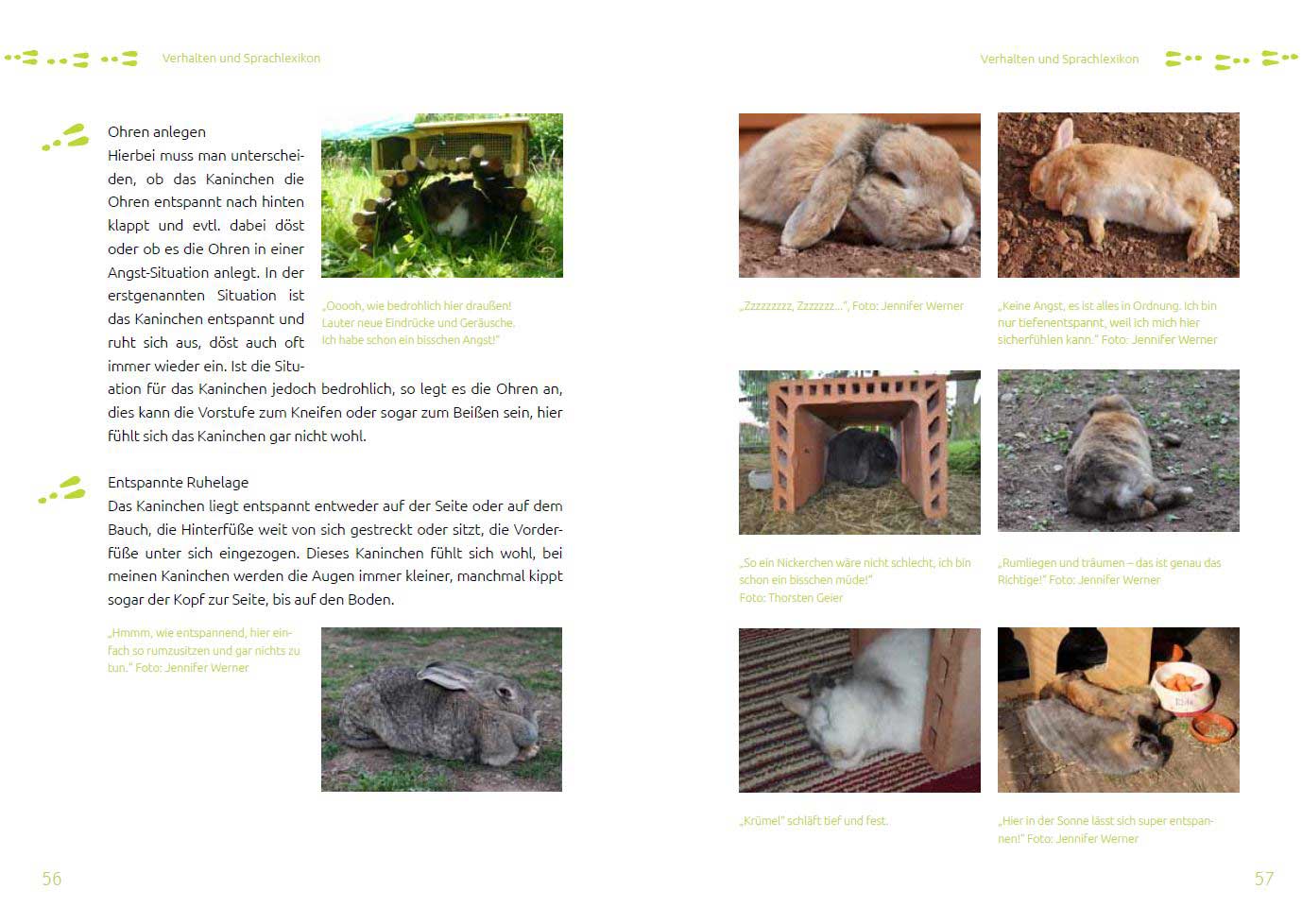 Leseprobe 4 Das Tierschutz-Kaninchenbuch Leseprobe 4 Das Tierschutz-Kaninchenbuch