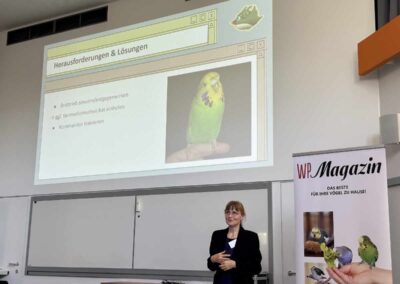 Gaby Schulemann-Maier: Handicap-Haltung: Lösungen für behinderte Vögel