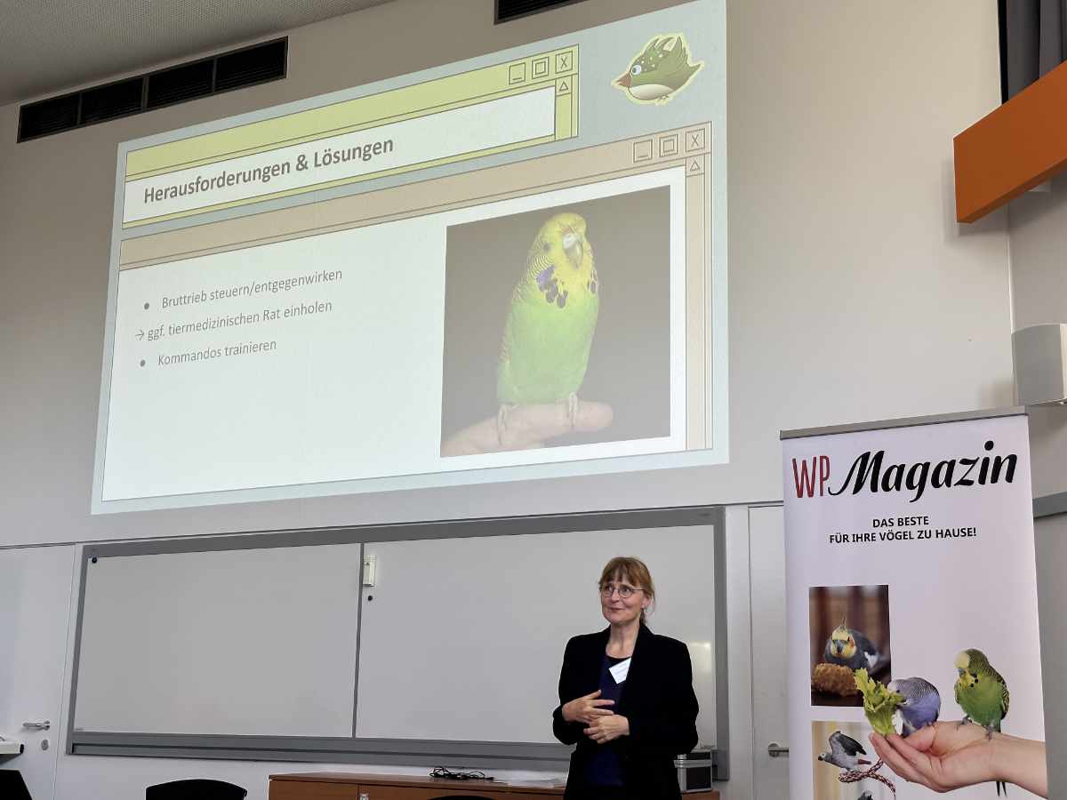 Gaby Schulemann-Maier: Handicap-Haltung: Lösungen für behinderte Vögel Gaby Schulemann-Maier: Handicap-Haltung: Lösungen für behinderte Vögel