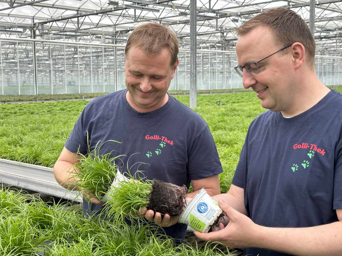 Daniel und Stefan Schulz mit Katzengras Daniel und Stefan Schulz mit Katzengras